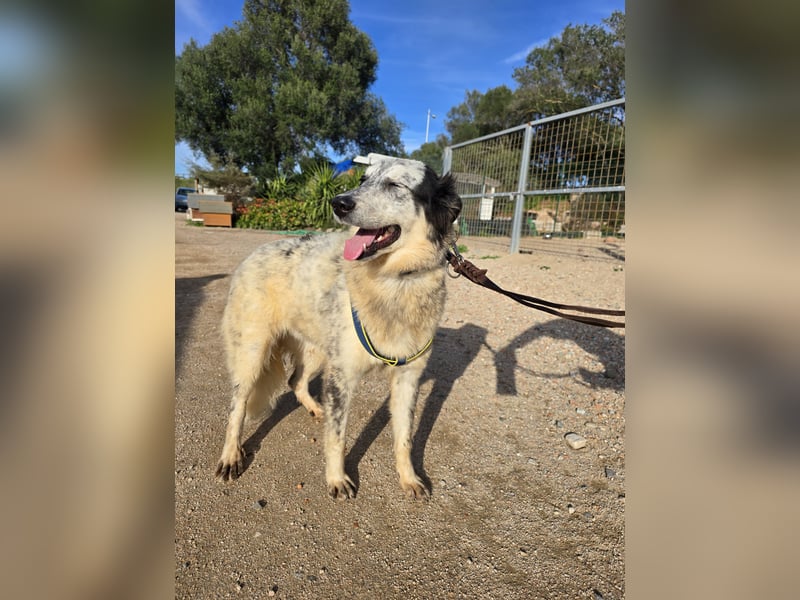 Mila: starke Schulter zum Anlehnen gesucht