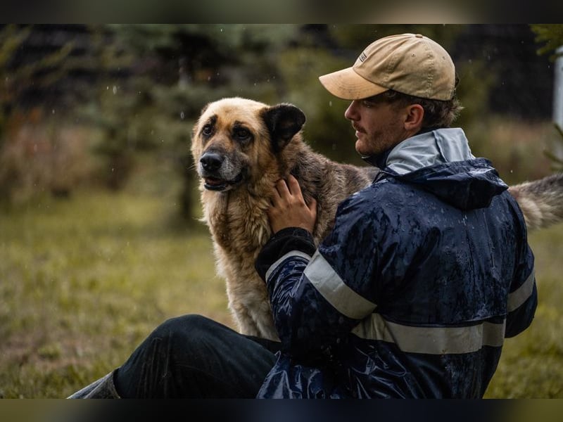 CHIKU - toller, sozialer, gelehriger und ruhiger (also der perfekte!) Kumpel sucht seine Familie