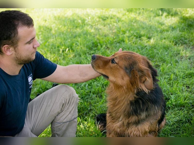 MILO - der schüchterne Rüde möchte noch die schönen Seiten des Hundelebens kennenlernen