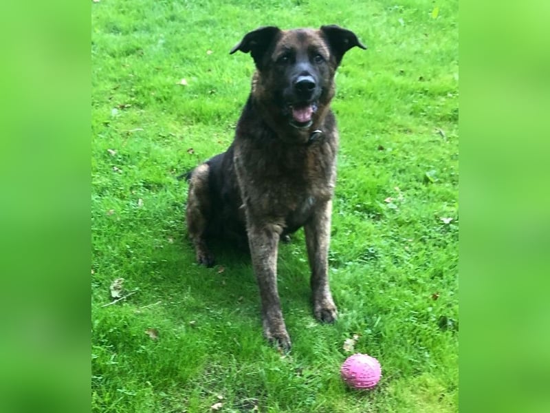 Bradly sucht Unterstützer mit großem Herz 
