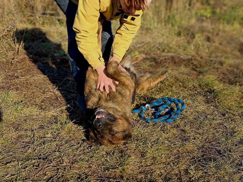 Bradly sucht Unterstützer mit großem Herz 