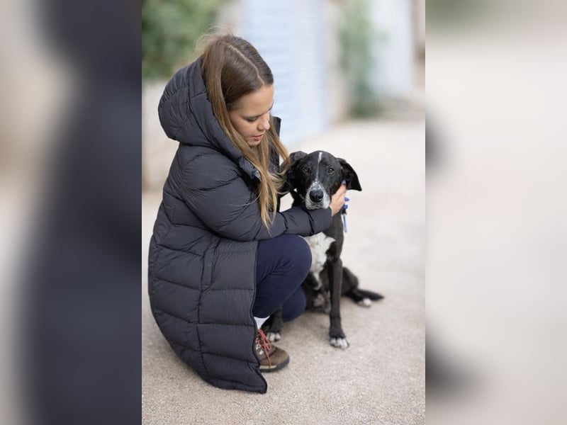 Sion ist aufmerksam, sanft und ruhig