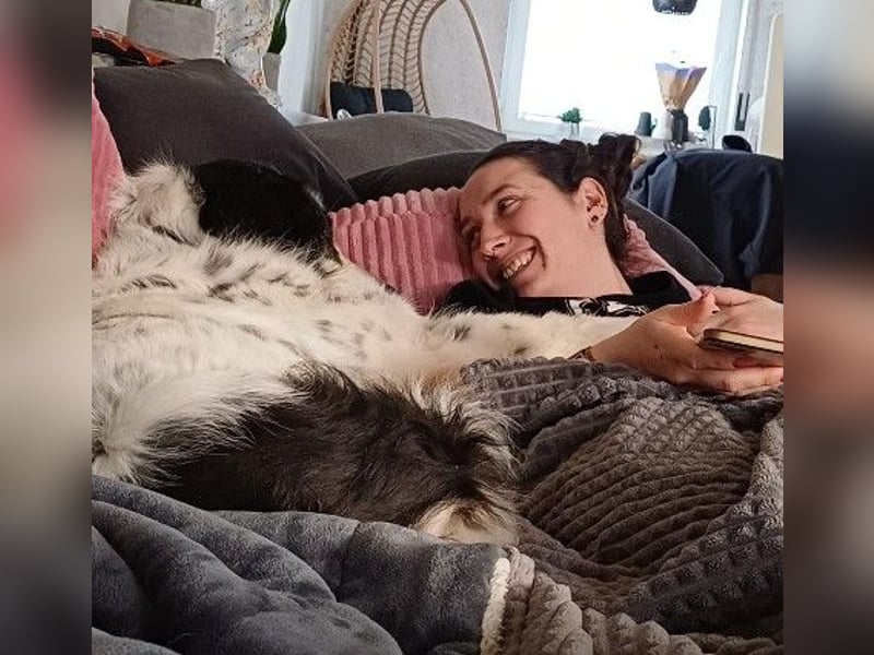 ARNO - liebenswerter Rüde sucht sein Für-Immer-Zuhause