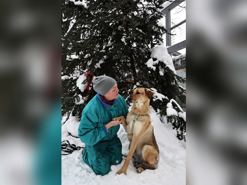 Freundliche Tuchka ❤️ sucht ein ruhigeres Zuhause