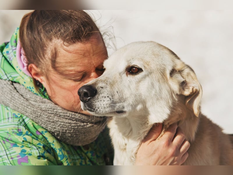 Großer Hund mit großem Herz sucht seine Chance