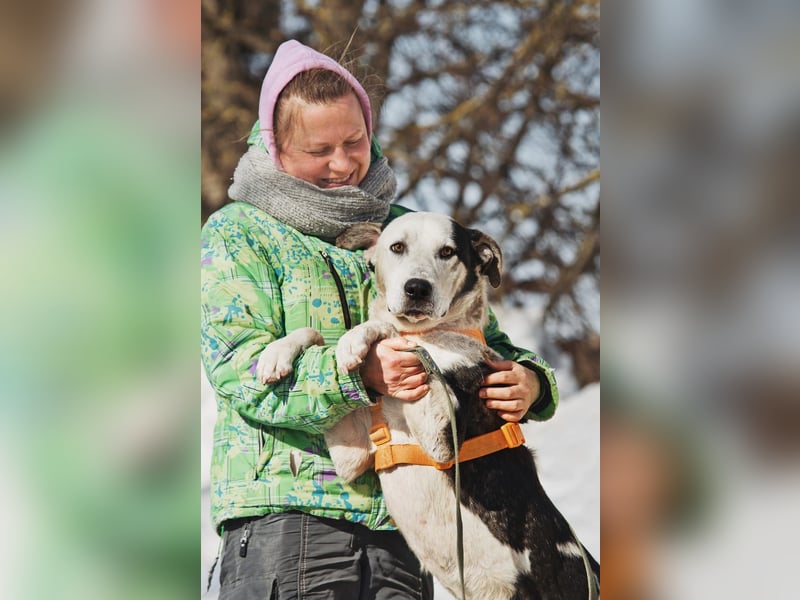 Liebenswerter Pluto ❤️ sucht sein Zuhause