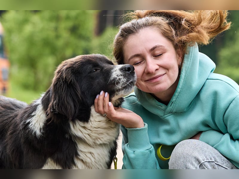 Souveräne Gerda ❤️ sucht ein verlässliches Zuhause