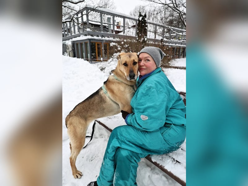 Freundliche Tuchka ❤️ sucht ein ruhigeres Zuhause