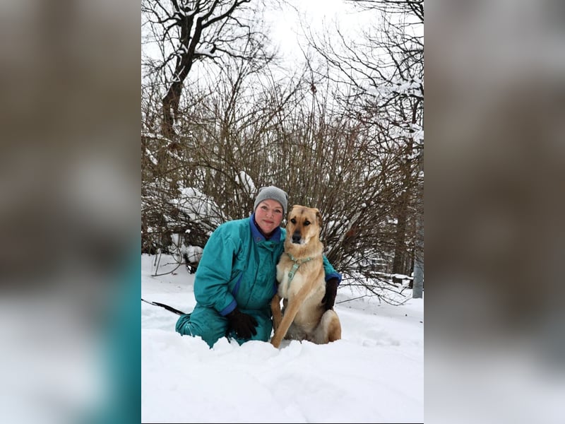 Freundliche Tuchka ❤️ sucht ein ruhigeres Zuhause
