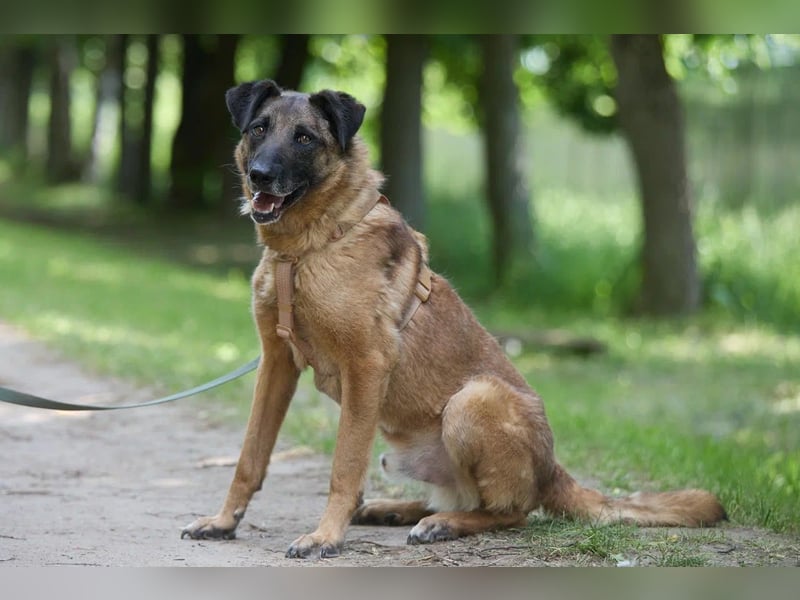 Zugewandter Graf ❤️ sucht Menschen mit Freude an Beschäftigung