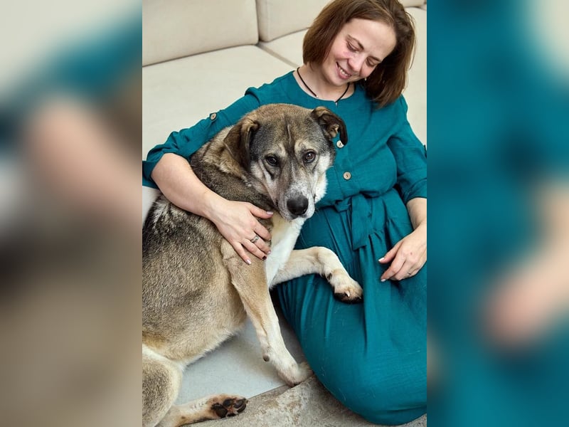 Großer sanfter Kusya ❤️ sucht ein liebevolles Zuhause