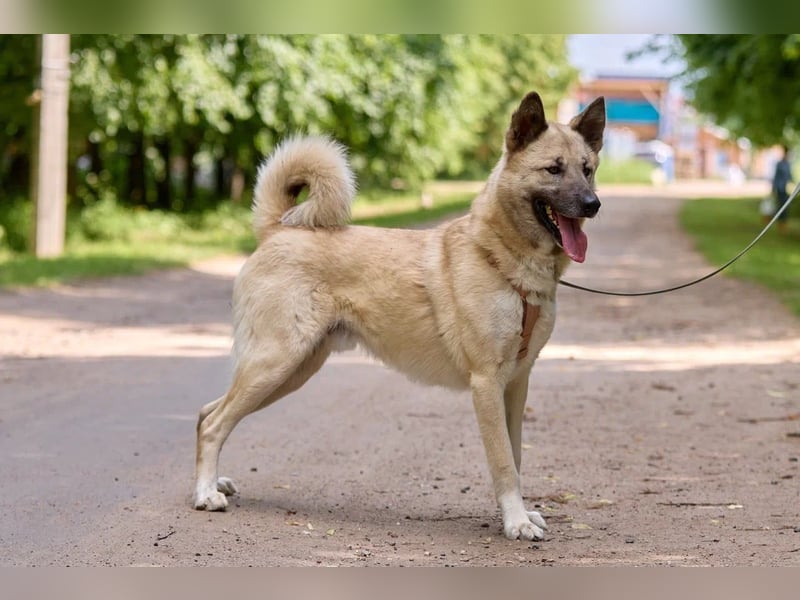 Intelligenter Zeus ❤️ sucht aktive Menschen