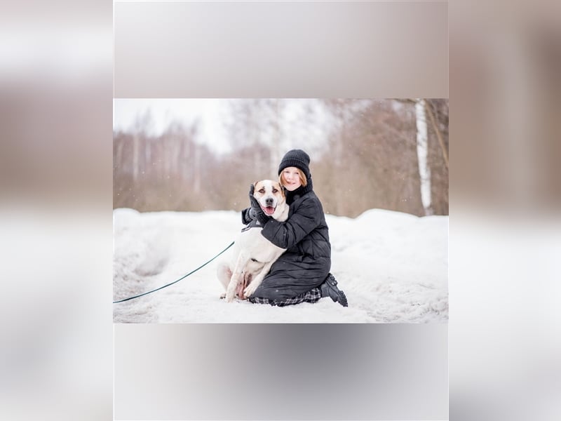 Chara❤️sucht liebevolles Zuhause als Einzelhund