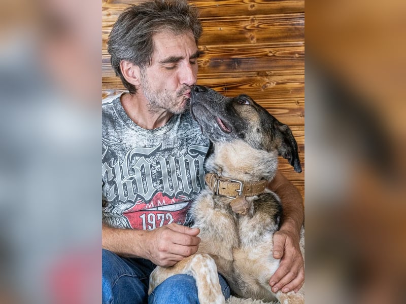Großer gut gelaunter Fedya ❤️ sucht seine Menschen