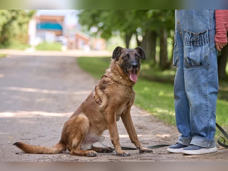 Zugewandter Graf ❤️ sucht Menschen mit Freude an Beschäftigung
