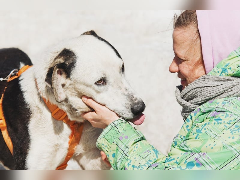 Liebenswerter Pluto ❤️ sucht sein Zuhause