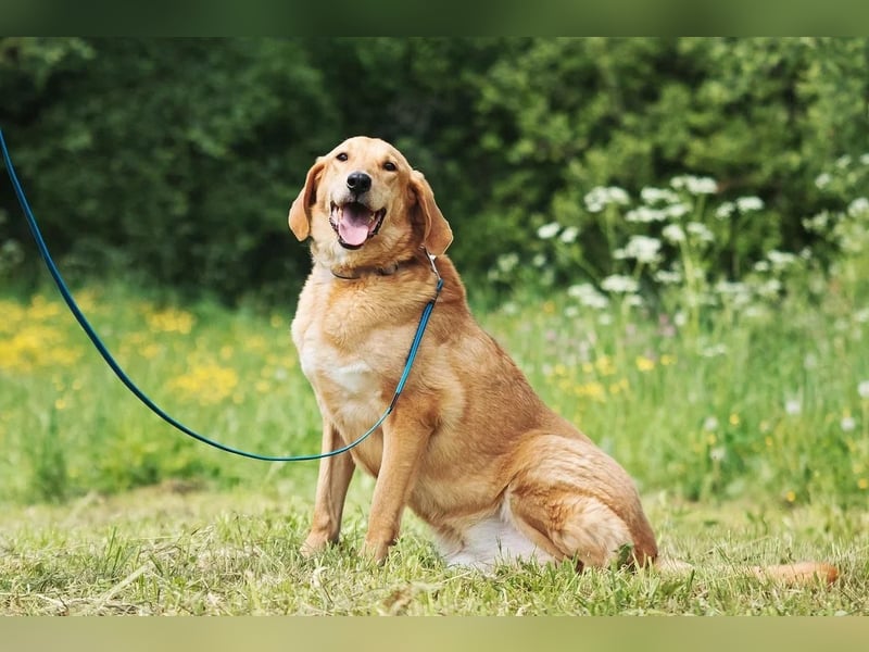 Hallo, ich bin Djem ❤️!