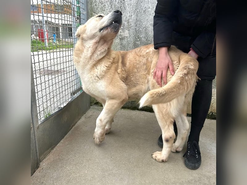 Leska sucht ihr Ticket in die Freiheit ❤️