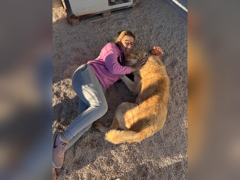 Tristan alias Snow sucht forever Home❤️