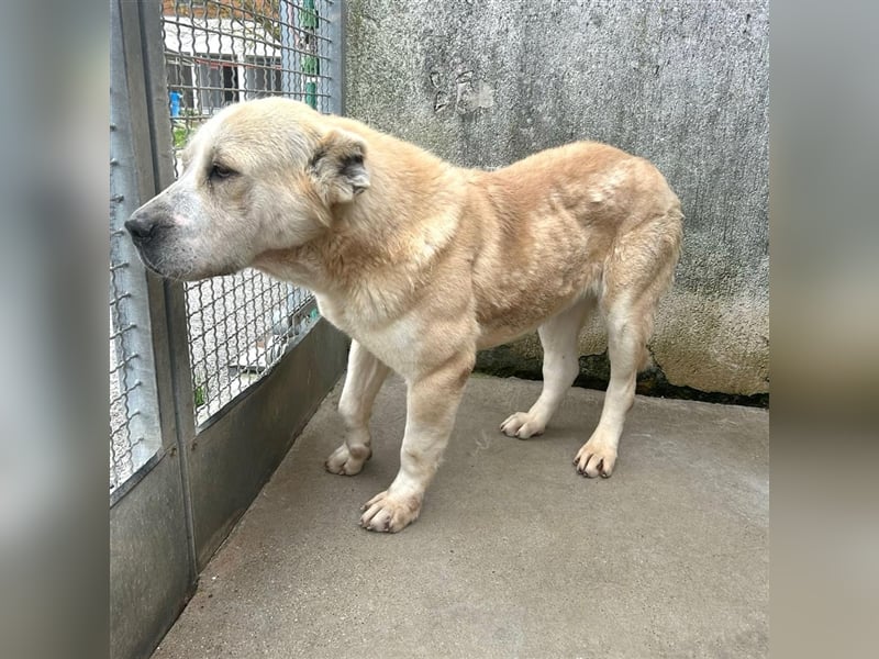 Leska sucht ihr Ticket in die Freiheit ❤️