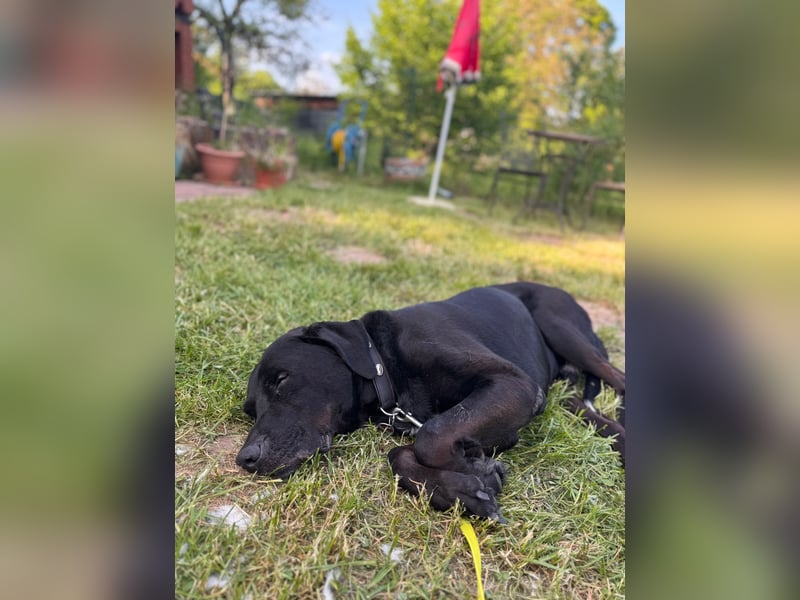 Entspannter Cash sucht dringend neuen Platz 