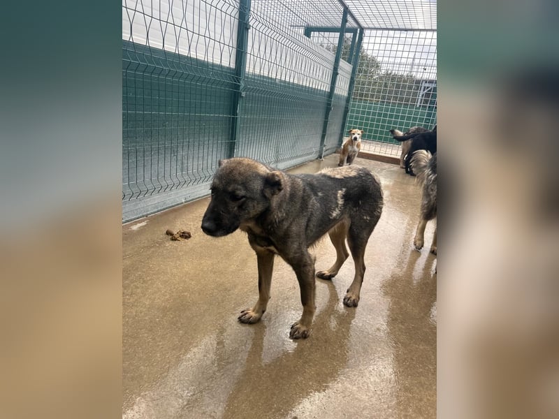 Liora sucht ihr perfect match ❤️