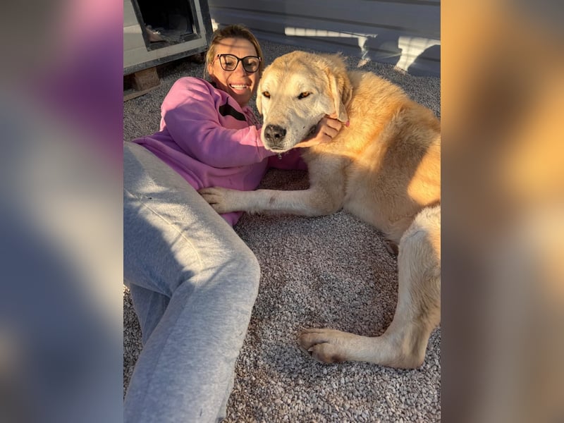 Tristan alias Snow sucht forever Home❤️