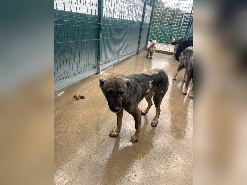 Liora sucht ihr perfect match ❤️