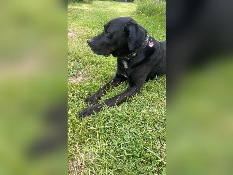 Entspannter Cash sucht dringend neuen Platz 