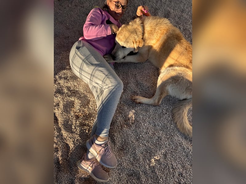 Tristan alias Snow sucht forever Home❤️