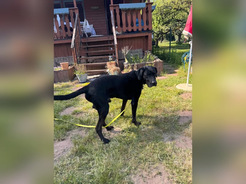 Entspannter Cash sucht dringend neuen Platz 