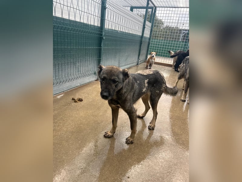 Liora sucht ihr perfect match ❤️