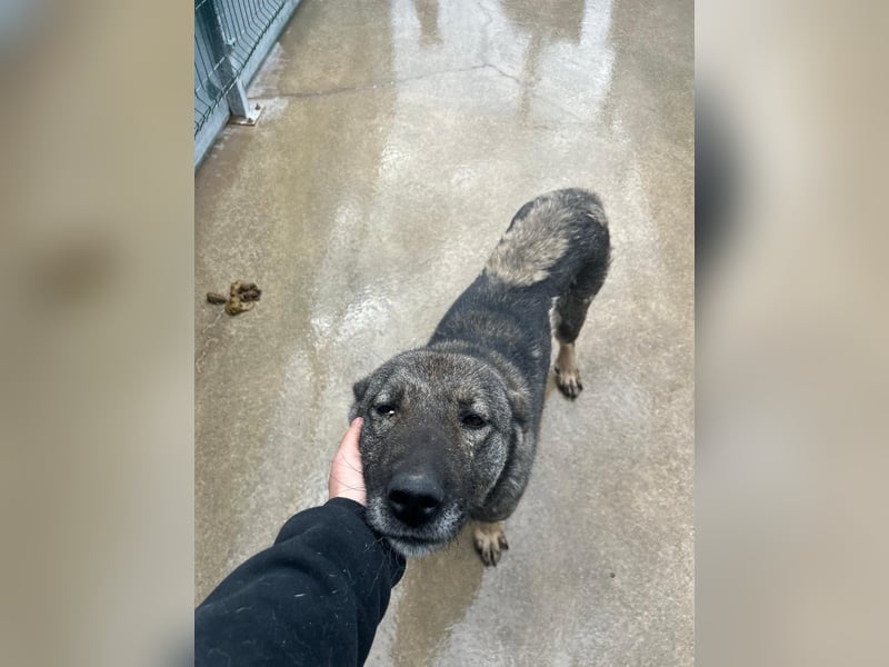 Liora sucht ihr perfect match ❤️