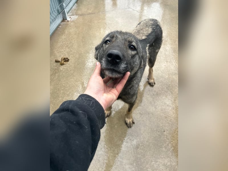 Liora sucht ihr perfect match ❤️