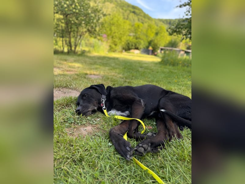 Entspannter Cash sucht dringend neuen Platz 