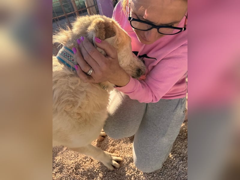 Tristan alias Snow sucht forever Home❤️