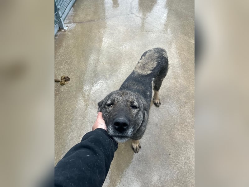 Liora sucht ihr perfect match ❤️