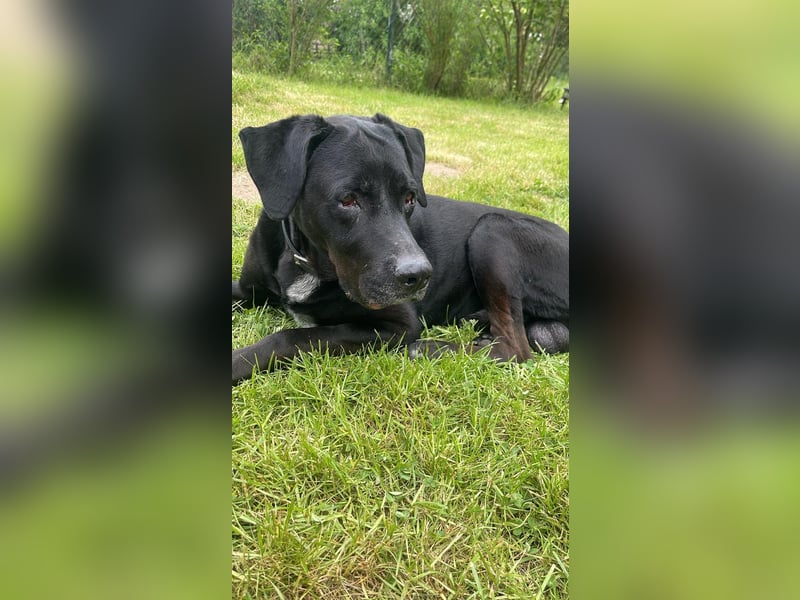 Entspannter Cash sucht dringend neuen Platz 