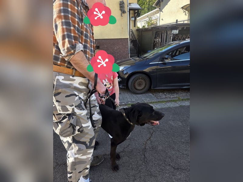 Entspannter Cash sucht dringend neuen Platz 
