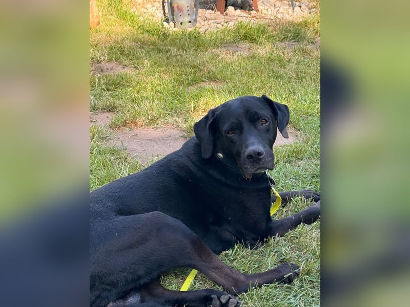 Entspannter Cash sucht dringend neuen Platz 