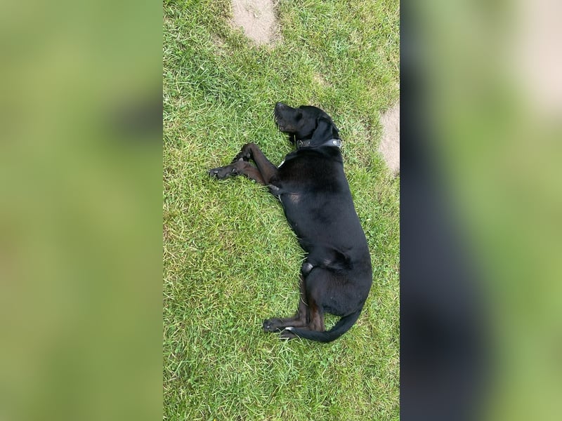 Entspannter Cash sucht dringend neuen Platz 