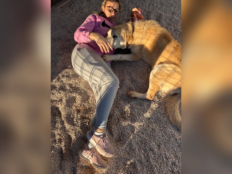 Tristan alias Snow sucht forever Home❤️