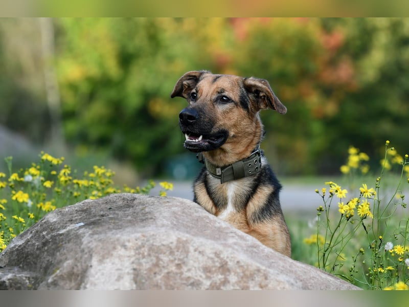 Marlo - Topf sucht Deckel