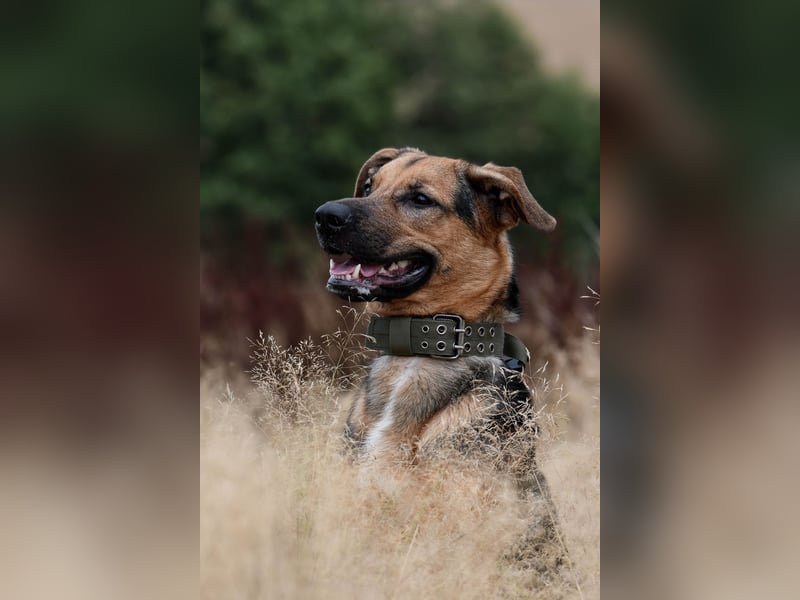 Marlo - Topf sucht Deckel