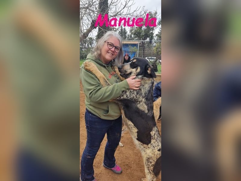 Manuela geb. 12/2023 (ESP) - harmonische, gutmütige und lustige Junghündin!