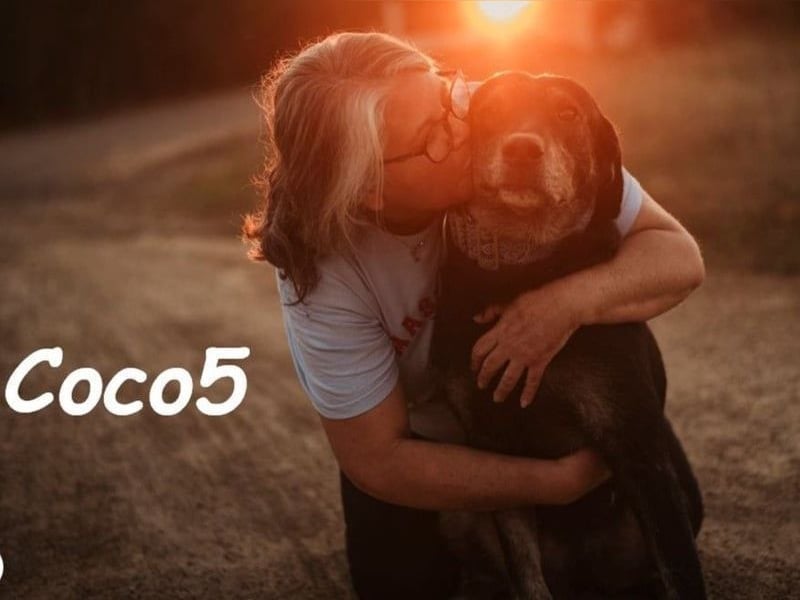 Coco5 geb. 06/2017 (ESP) - ein Engel auf vier Pfoten!