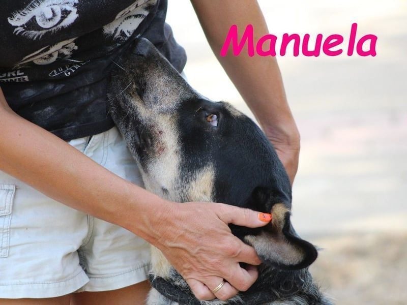 Manuela geb. 12/2023 (ESP) - harmonische, gutmütige und lustige Junghündin!