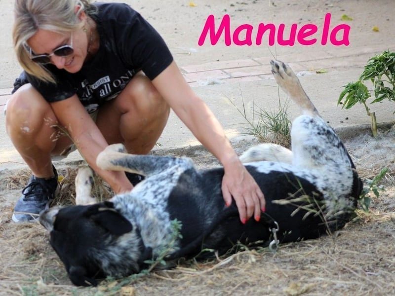 Manuela geb. 12/2023 (ESP) - harmonische, gutmütige und lustige Junghündin!