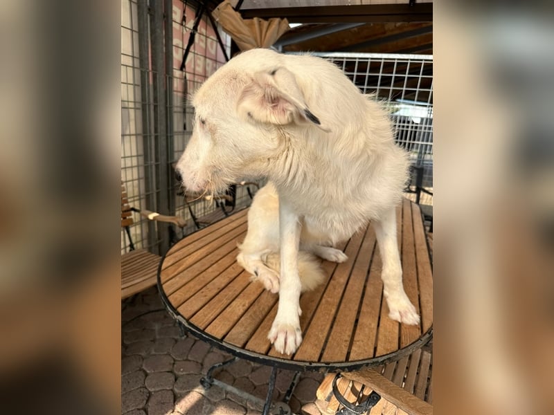 FIDES – freundlich, aktiv, voller Lebensfreude