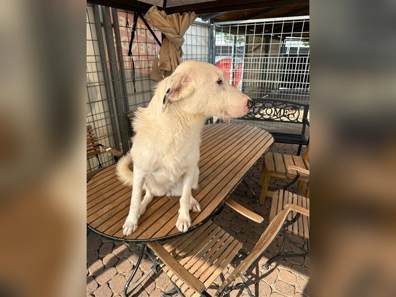 FIDES – freundlich, aktiv, voller Lebensfreude